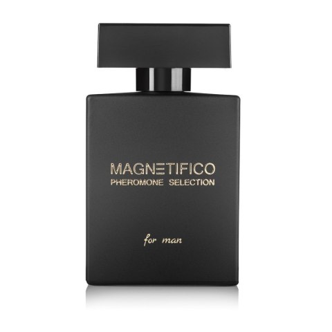 Perfumy męskie MAGNETIFICO Selection for Man 100 ml