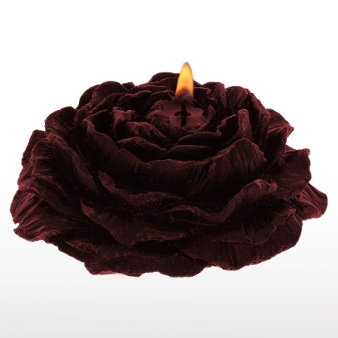 Świece Niskotemperaturowe Taboom Rose Japanese Drip Candle 2pcs