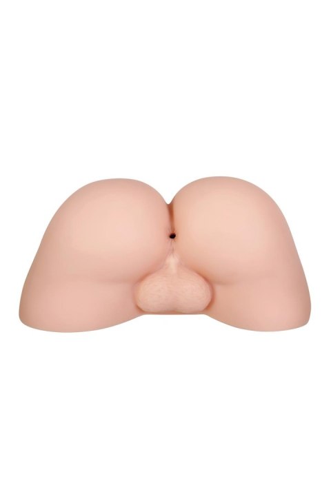 GENDER X A HANDFUL LIGHT, 2.7kgs