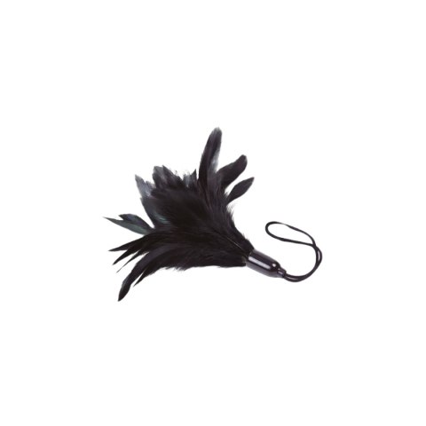 Prestiżowe Pióra Adrien Lastic Feather Tickler Black