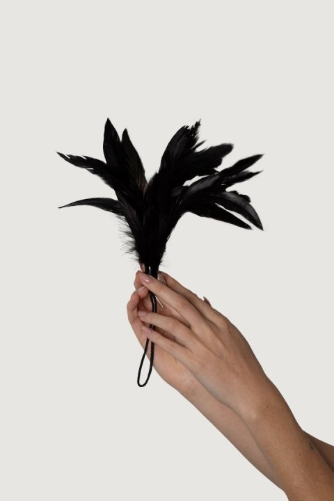 Prestiżowe Pióra Adrien Lastic Feather Tickler Black