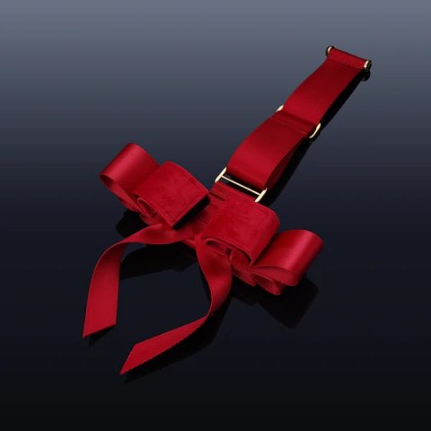 Upko Portable Bowknot Over-the-door Hand Restraint Gear