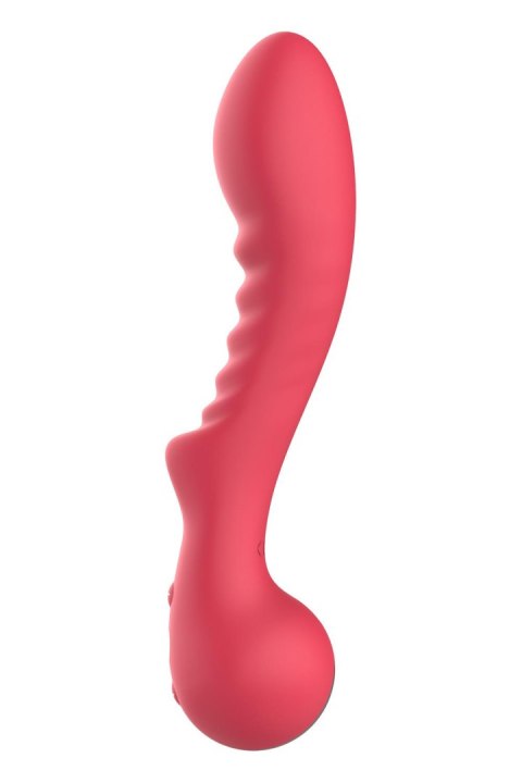 DREAMTOYS WIBRATOR AMOUR FLEXIBLE G-SPOT VIBE AIMEE