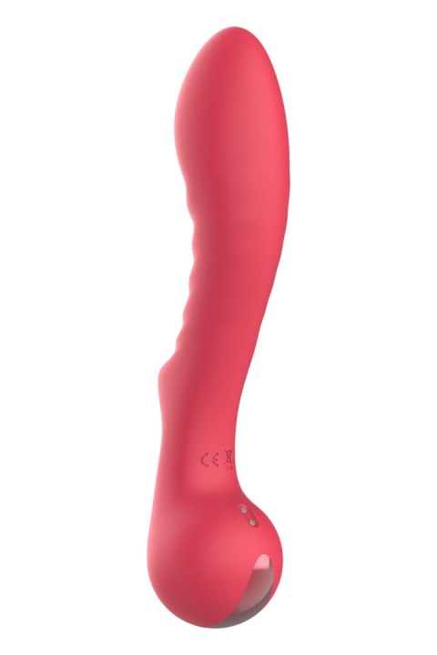 DREAMTOYS WIBRATOR AMOUR FLEXIBLE G-SPOT VIBE AIMEE