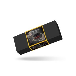 Liebe Seele Victorian Garden Lace and Velvet Collar with Leash