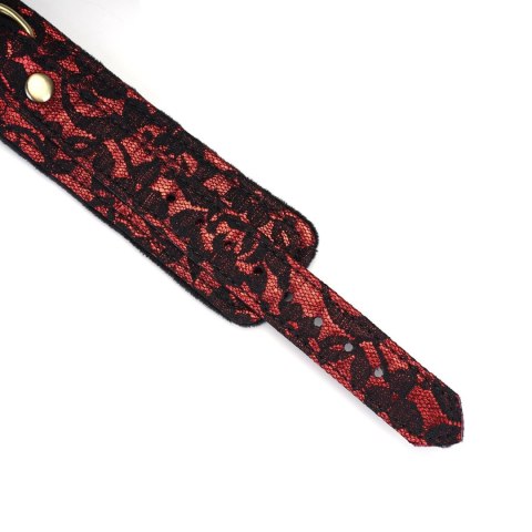 Liebe Seele Victorian Garden Lace and Velvet Collar with Leash