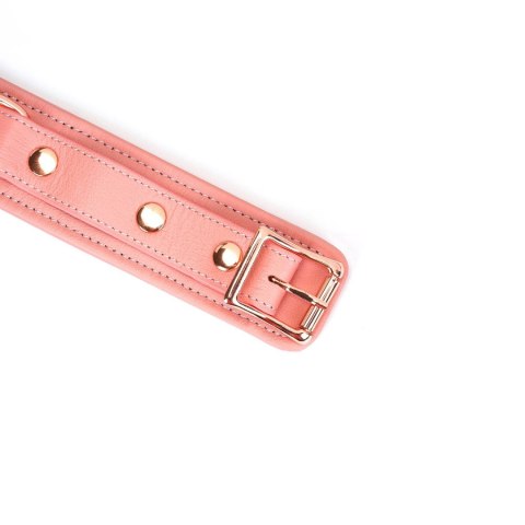 Liebe Seele obróżka ze smyczą Pink Dream Collar with Leash