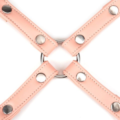 Liebe Seele uprząż Bondage Pink Organosilicon Hogtie