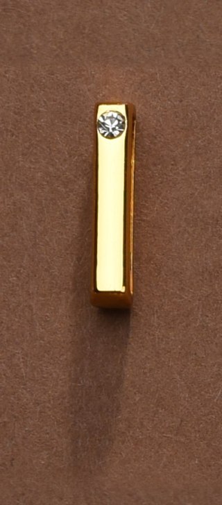 Litera Do Personalizacji Obróżki Lub Kajdanek Upko Letter I UPKO