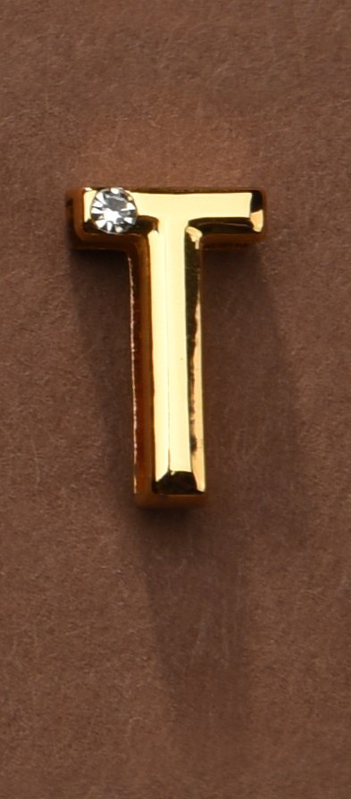 Litera Do Personalizacji Obróżki Lub Kajdanek Upko Letter T UPKO