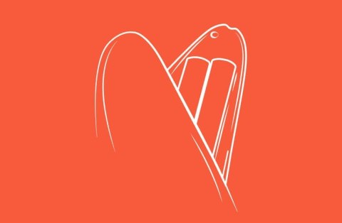 Bezdotykowy Stymulator Łechtaczki Switch Romp