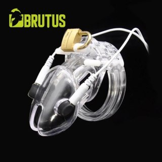 Pas cnoty Volt Cage Electro Chastity Cage Clear Brutus