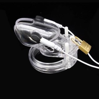 Pas cnoty Volt Cage Electro Chastity Cage Clear Brutus