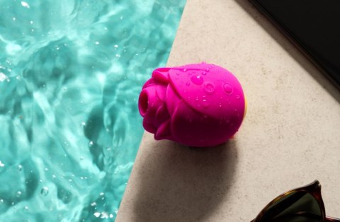 Powietrzny stymulator łechtaczki Rose Romp