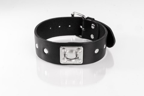 Obroża z ćwiekami czarna L Primal Bond Whips