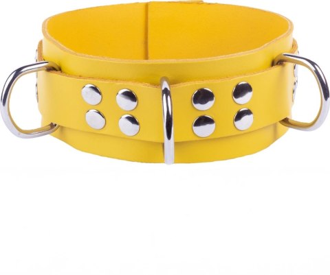 Red Leather Skorzana Obroża Regulowana Żołta 38-52 cm Metalowe Okucia
