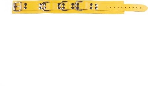 Red Leather Skorzana Obroża Regulowana Żołta 38-52 cm Metalowe Okucia