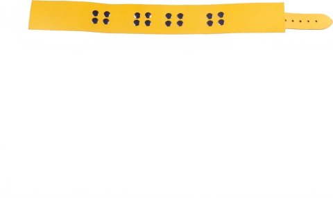 Red Leather Skorzana Obroża Regulowana Żołta 38-52 cm Metalowe Okucia