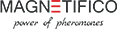 Magnetifico